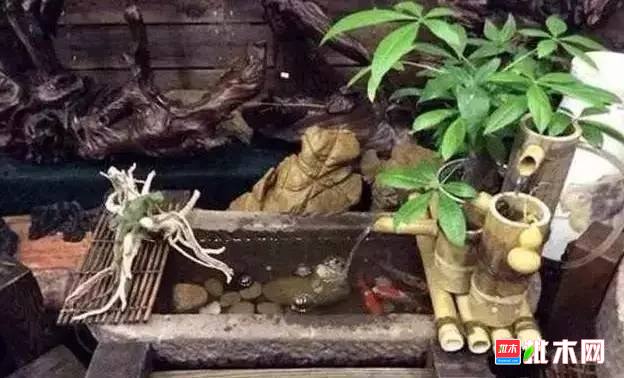 批木网 anywood.com