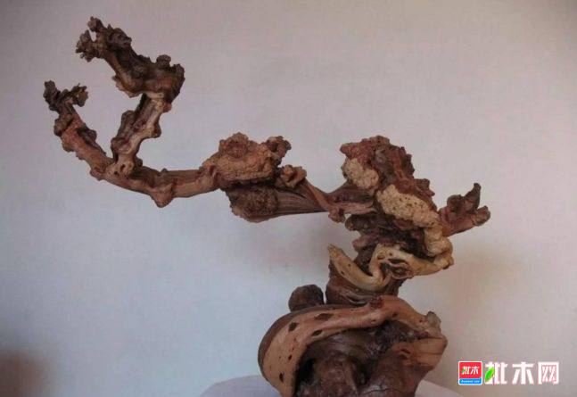 批木网 anywood.com