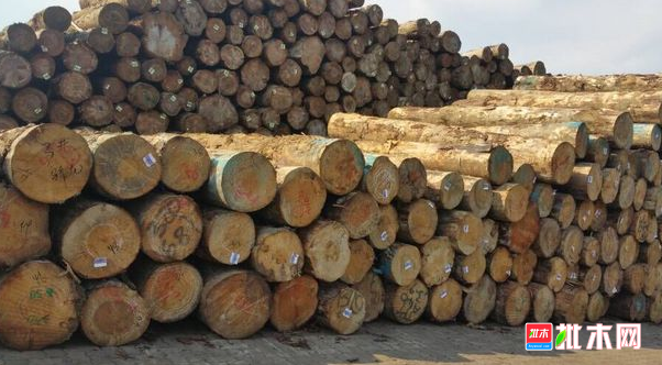 批木网 anywood.com
