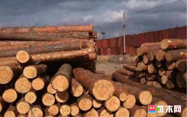 批木网 anywood.com