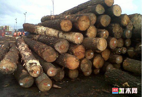 批木网  anywood.com