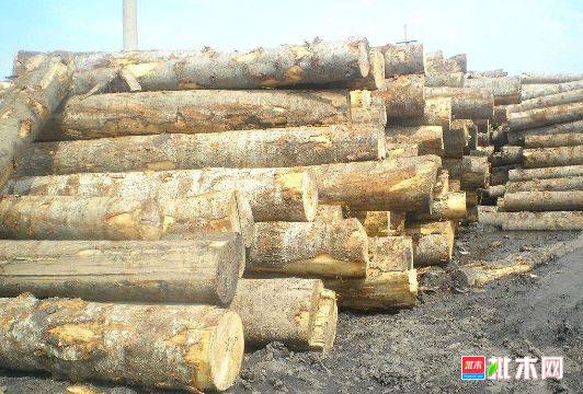 批木网 anywood.com