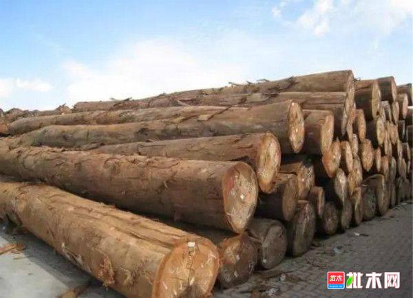 批木网 anywood.com