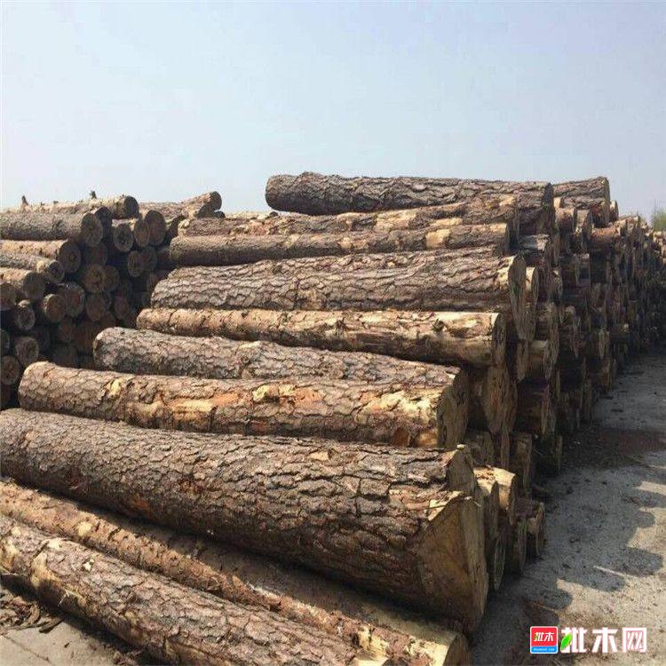 批木网anywood.com