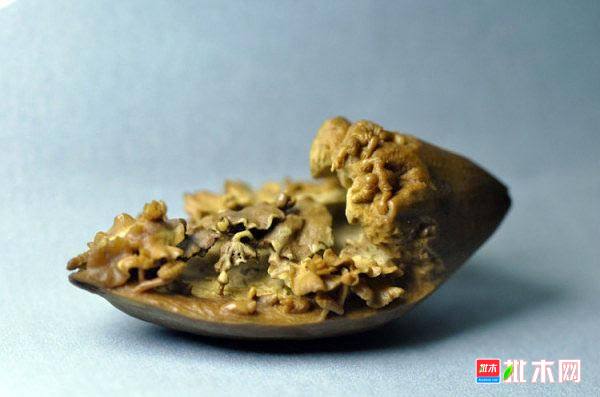 批木网 anywood.com