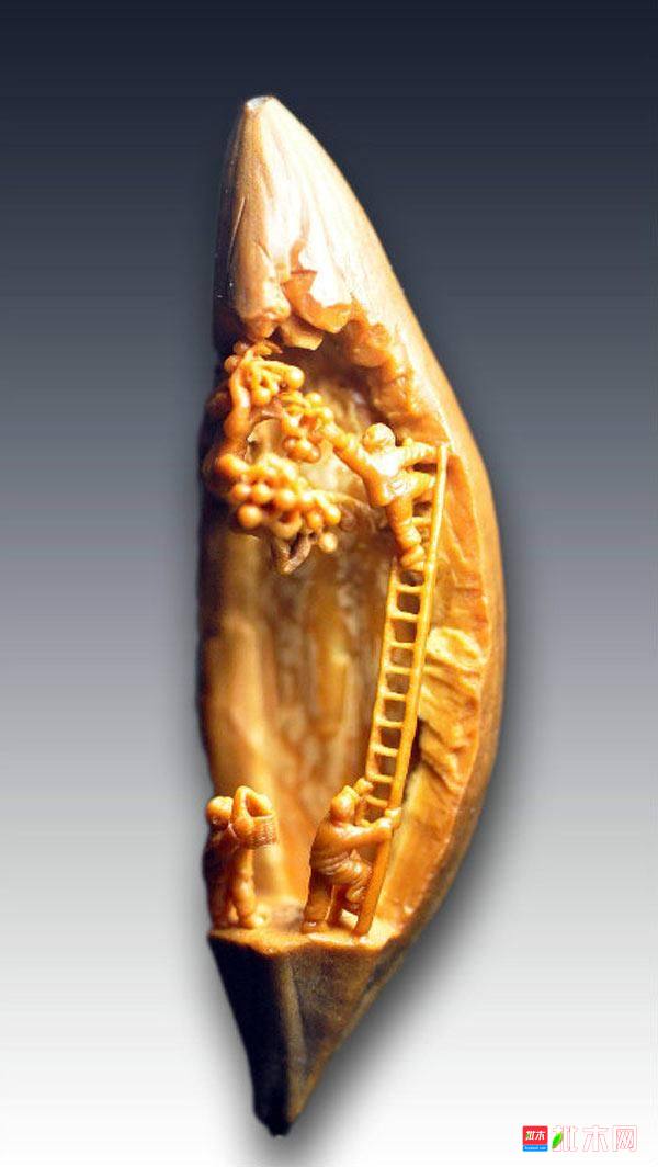 批木网 anywood.com