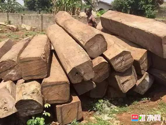 批木网 anywood.com
