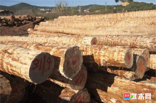 批木网 anywood.com
