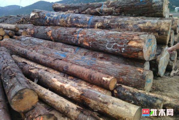 批木网 anywood.com