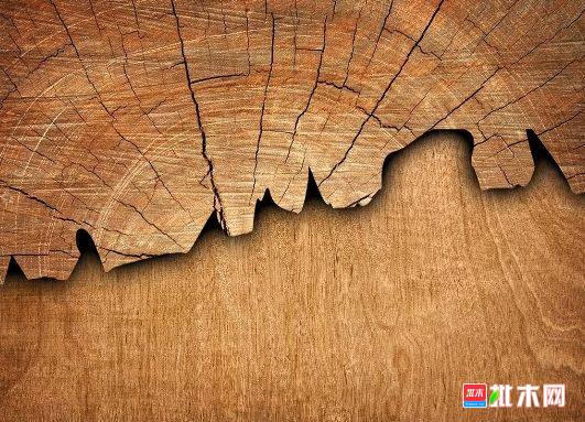 批木网 anywood.com