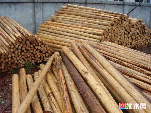 批木网 anywood.com