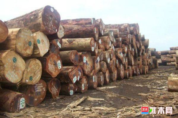 批木网 anywood.com