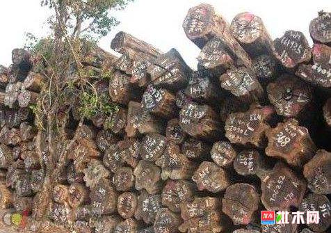 批木网 anywood.com