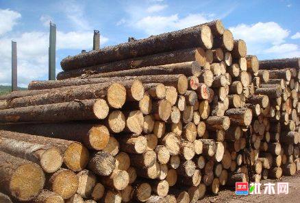 批木网 anywood.com
