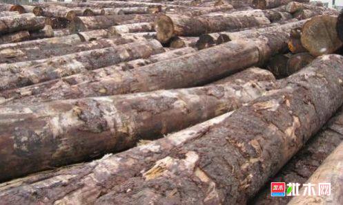 批木网 anywood.com