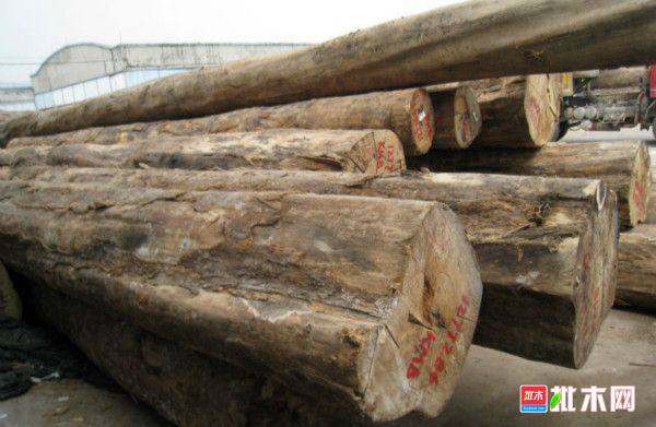 批木网 anywood.com