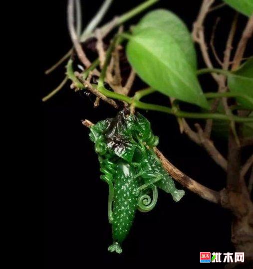 批木网 anywood.com