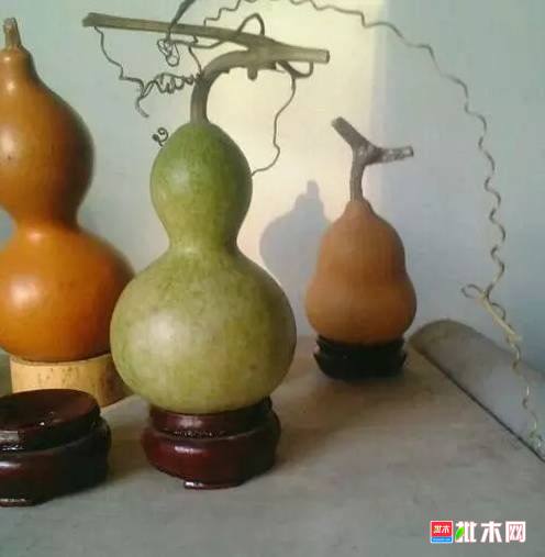 批木网 anywood.com