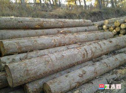 批木网 anywood.com