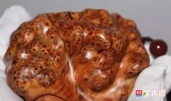 批木网 anywood.com