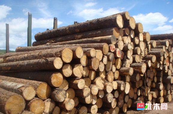 批木网 anywood.com