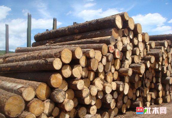 批木网 anywood.com
