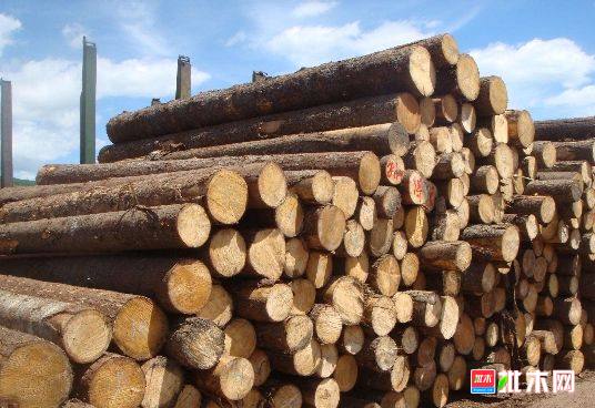 批木网 anywood.com