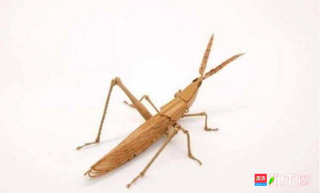 批木网 anywood.com