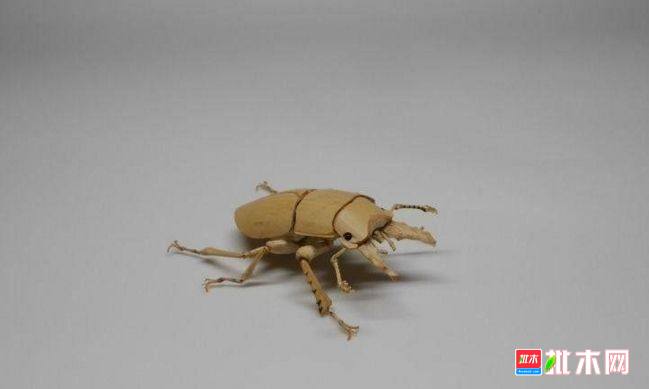 批木网 anywood.com