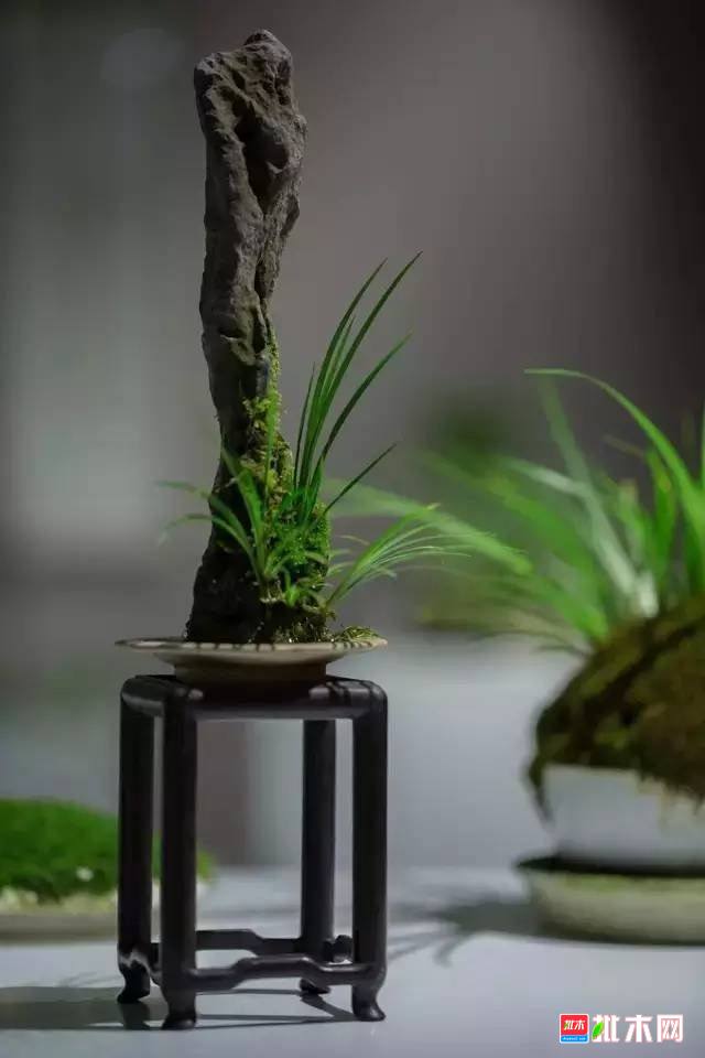 批木网 anywood.com