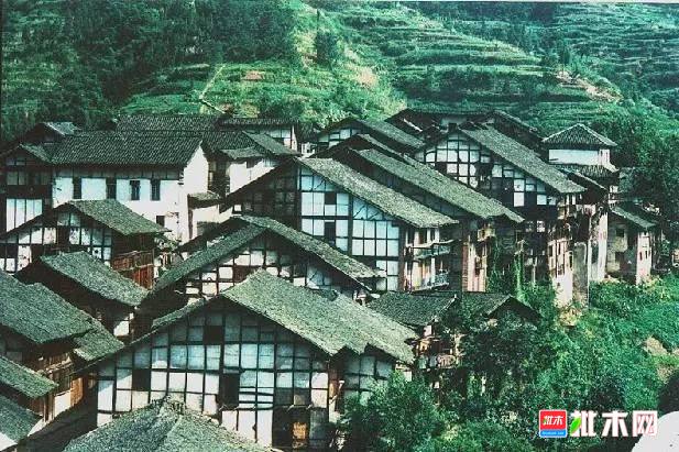 批木网 anywood.com