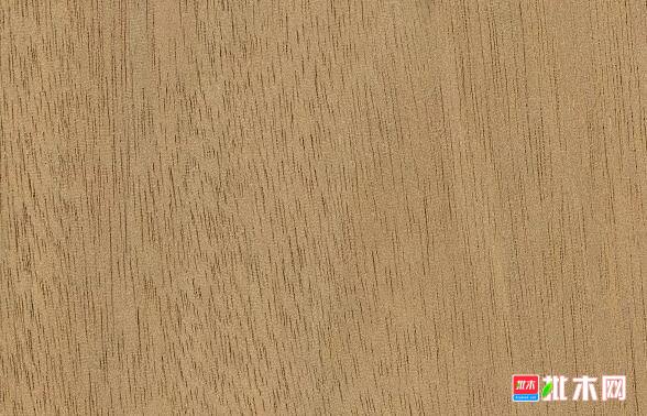 批木网 anywood.com
