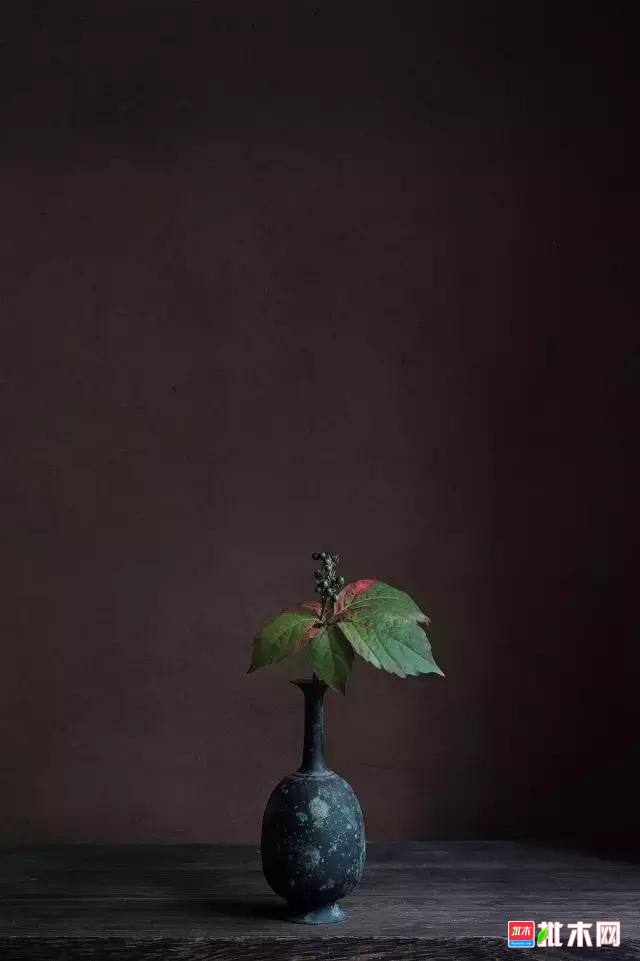 批木网 anywood.com