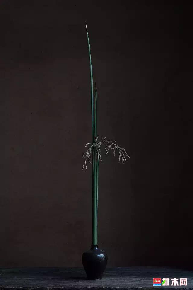 批木网 anywood.com
