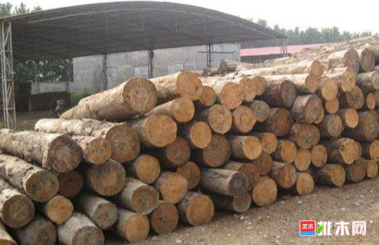 批木网 anywood.com
