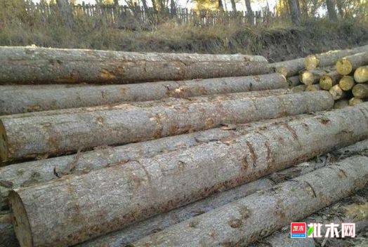 批木网 anywood.com