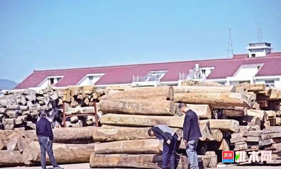 批木网 anywood.com