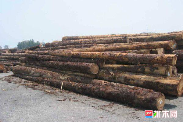 批木网 anywood.com