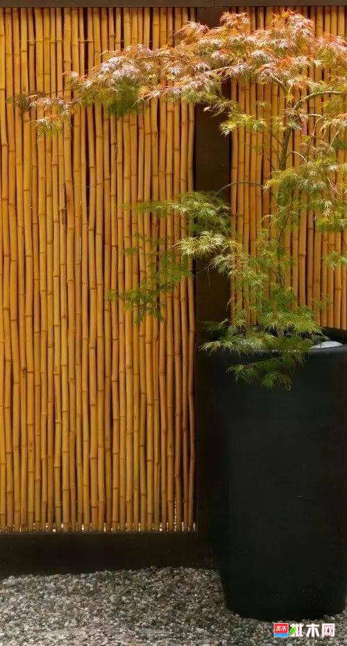 批木网 anywood.com