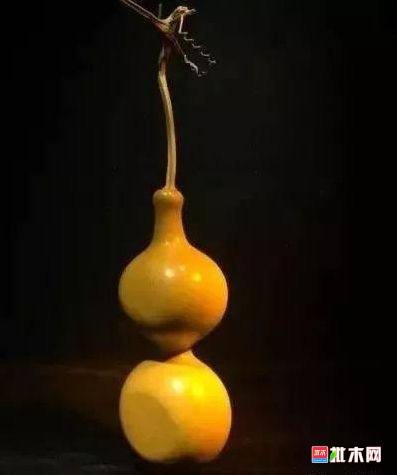 批木网 anywood.com