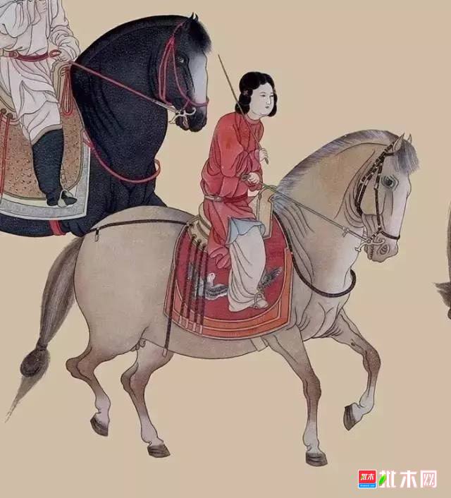 批木网 anywood.com