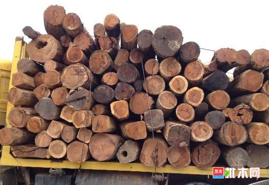 批木网 anywood.com