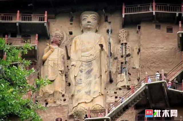 批木网 anywood.com