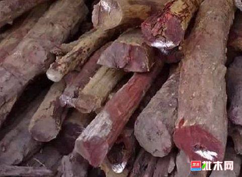 批木网 anywood.com