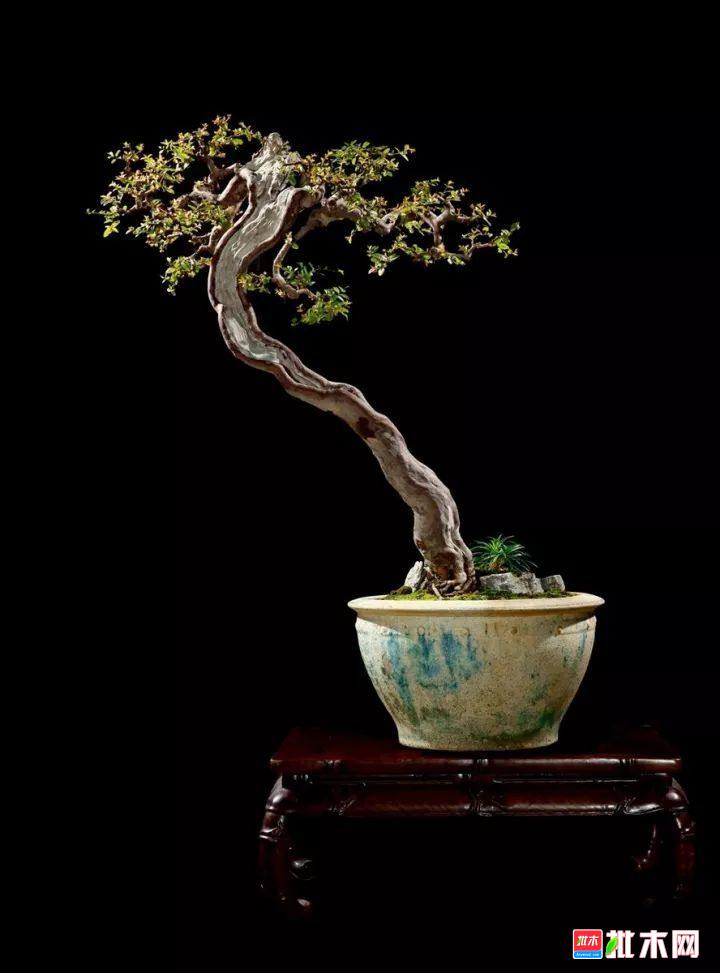 批木网 anywood.com