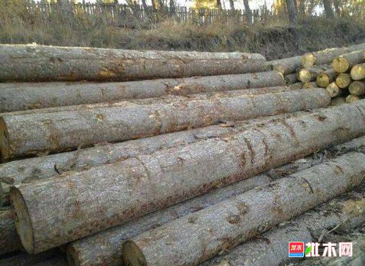 批木网 anywood.com