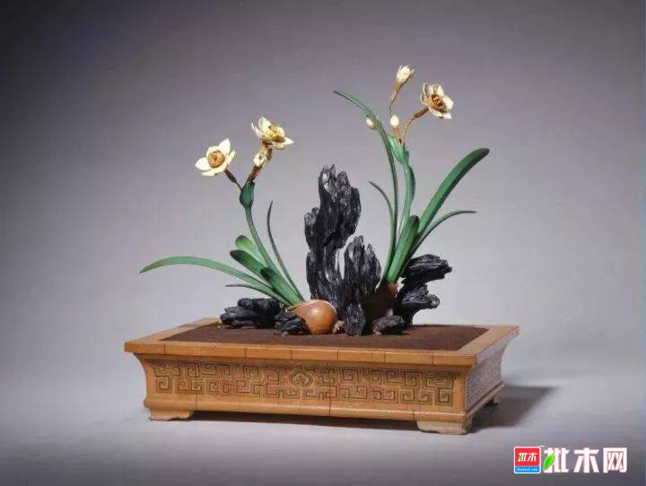 批木网 anywood.com