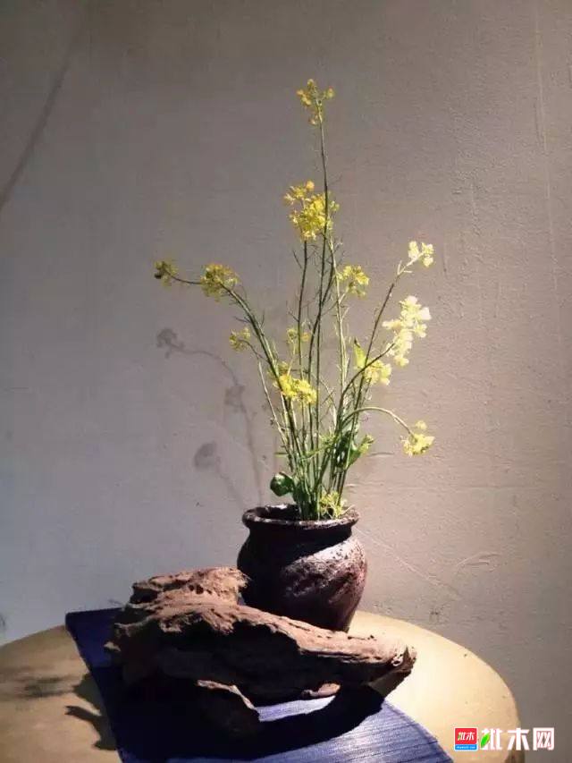 批木网 anywood.com