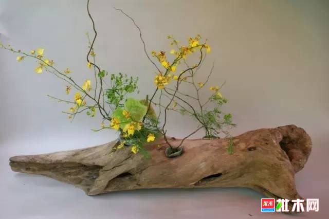 批木网 anywood.com
