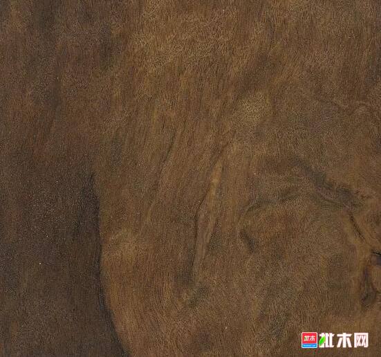 批木网 anywood.com